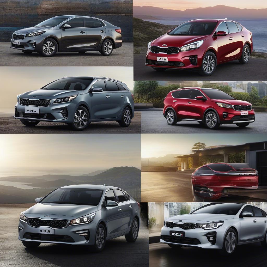 Kia 2019: Lựa Chọn Thông Minh Cho Người Tiêu Dùng Việt