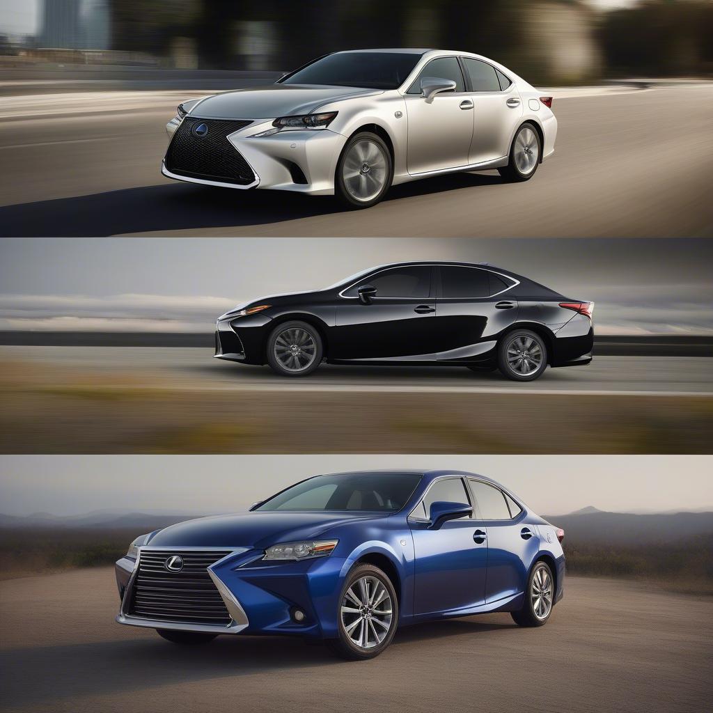 Sự khác biệt giữa Lexus và Toyota